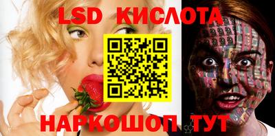прущие грибы Нальчик