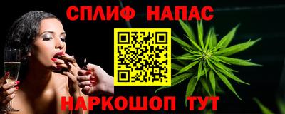 прущие грибы Нальчик