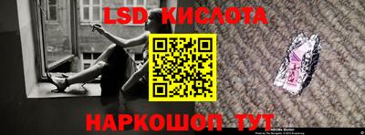 прущие грибы Нальчик